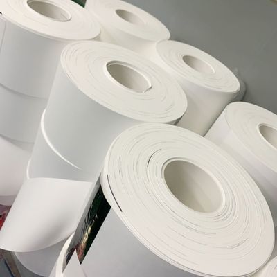 kualitas  0.1µM - 5µM Pore Size Nylon (Polyamide) Membrane Filter Circles pabrik