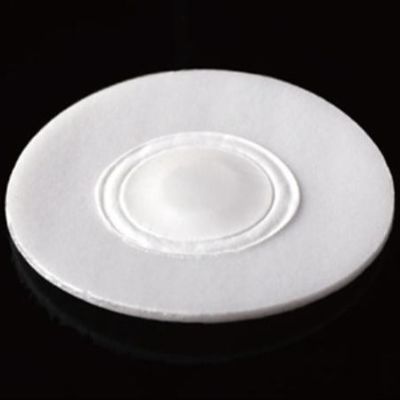 EPTFE Disc Membrane On Venting Gasket And Plug For Industrial Chemicals Packing (Membran cakram EPTFE pada gasket dan colokan ventilasi untuk kemasan bahan kimia industri)